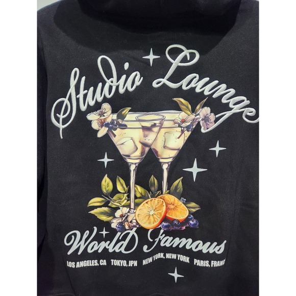 NWT PACSUN Studio Lounge Embroidered Cocktail Oversized Hoodie Cropped Small - Picture 2 of 8